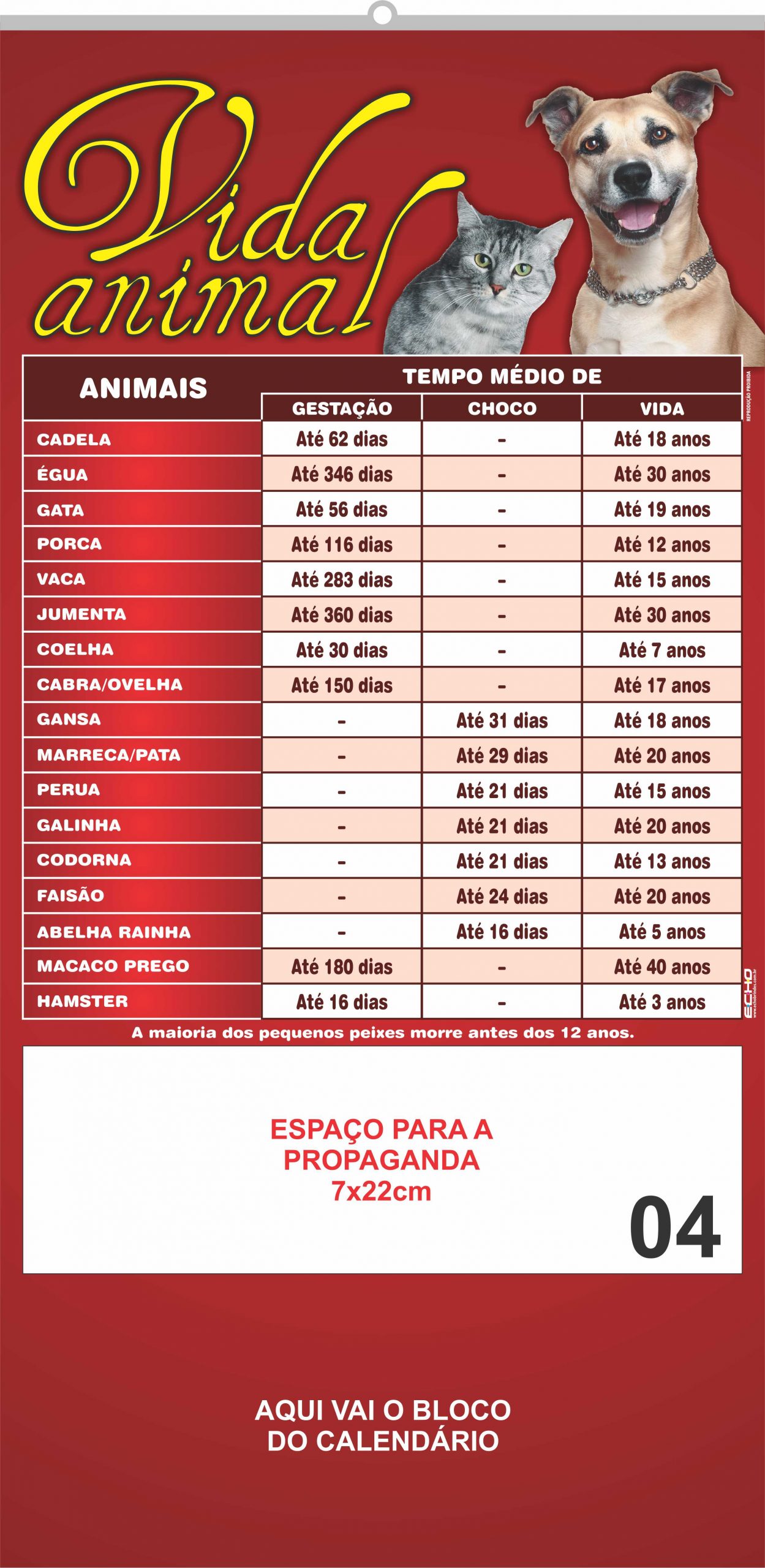 SERIE PLATINA - 04 - VIDA ANIMAL_2