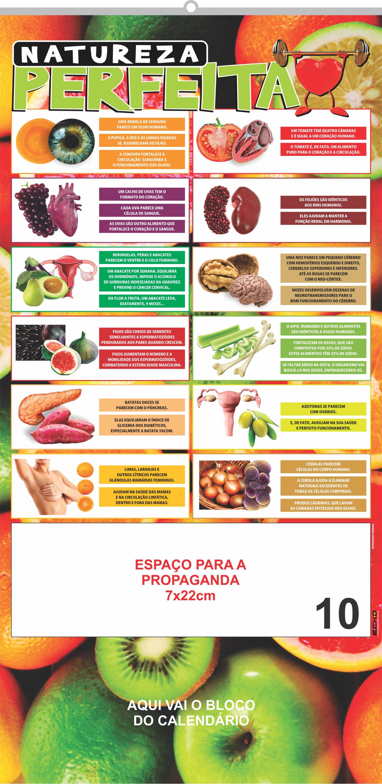 SERIE PLATINA - 10 - NATUREZA PERFEITA - 2016