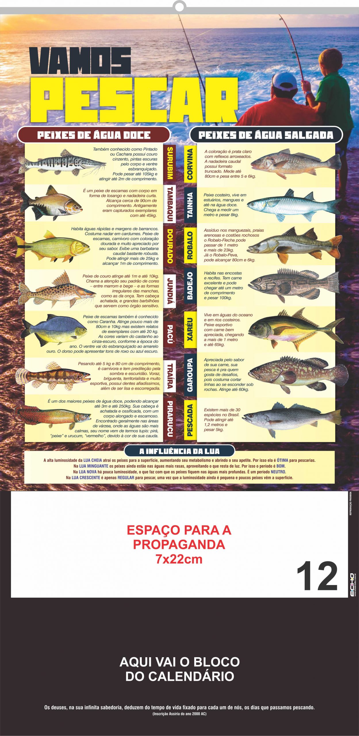 SERIE PLATINA - 12 - PEIXES_2