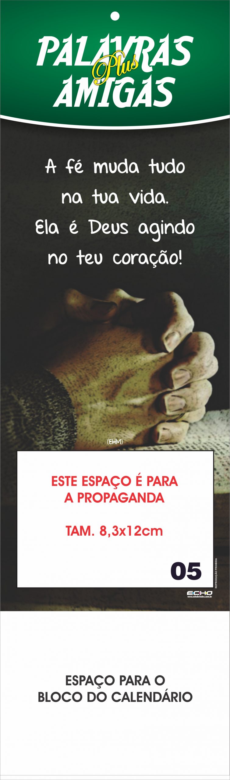 TODOS PALAVRAS AMIGAS PLUS - 05_2