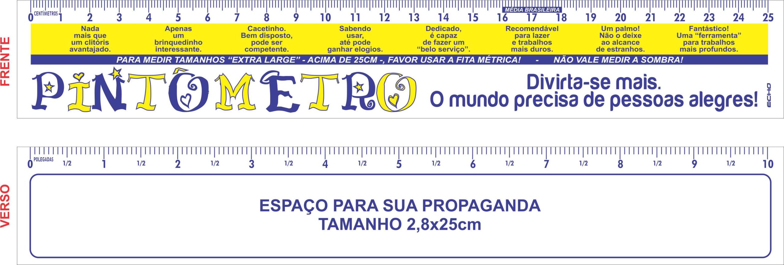01 - PINTOMETRO