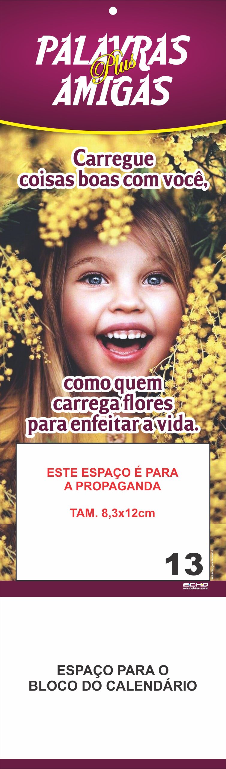 PALAVRAS AMIGAS PLUS - 13