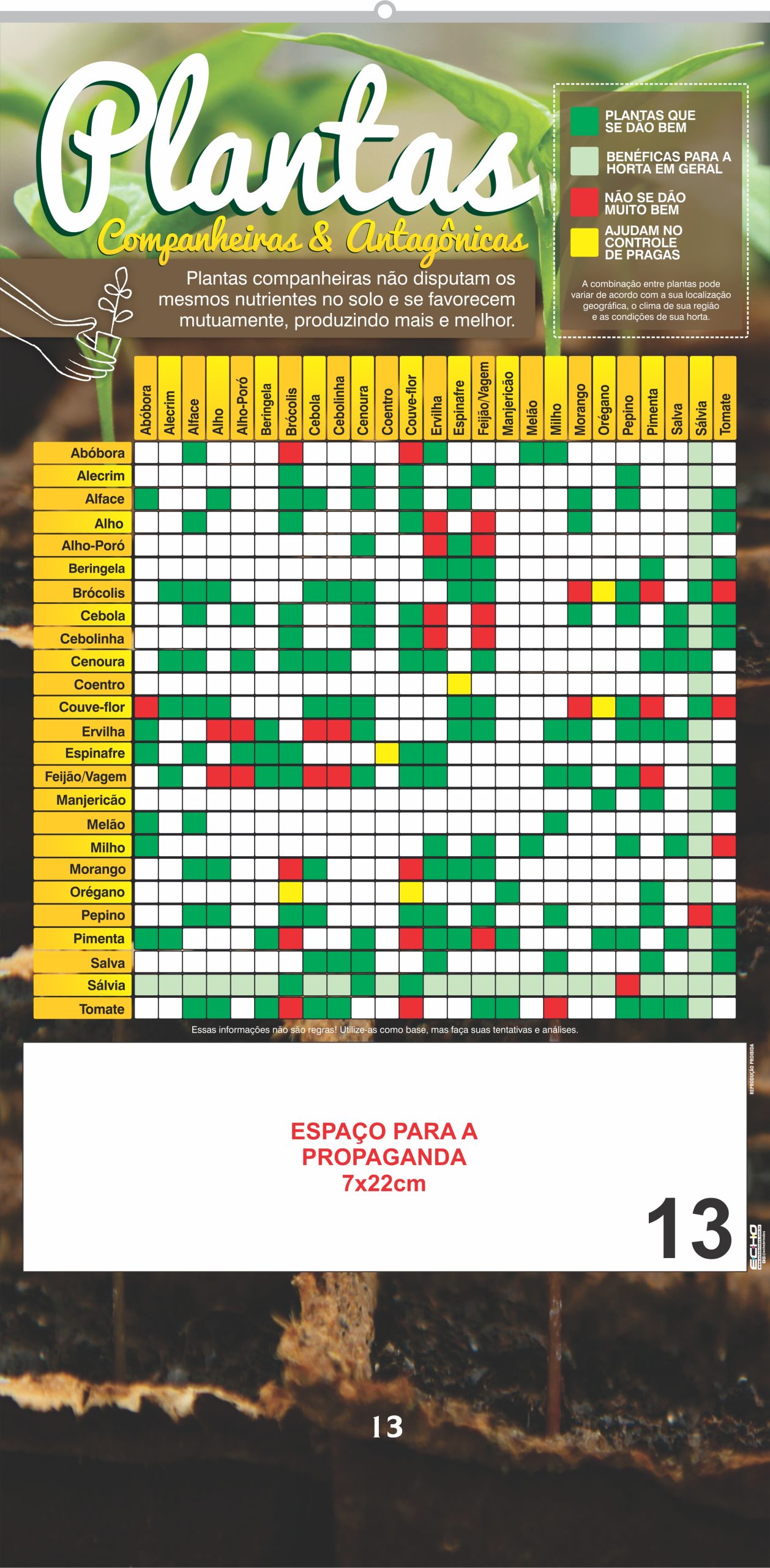 SERIE PLATINA 13 - PLANTAS COMPANHEIRAS